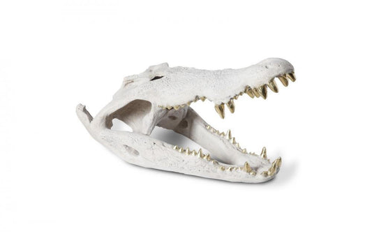 Phillips Collection Crocodile Skull Sculpture Off-White, Gold Leaf