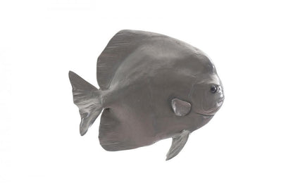 Phillips Collection Australian Snapper Fish Wall Sculpture Polished Aluminum