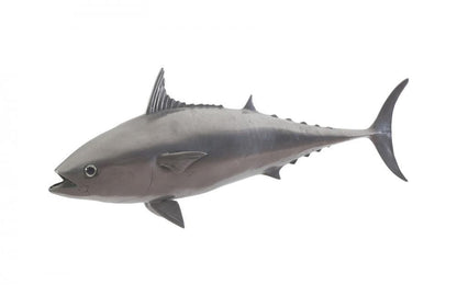 Phillips Collection Fish Wall Sculpture, Mackerel, Polished Aluminum, 33"W (PH64550 YV0J07TA13)