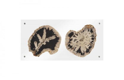 Phillips Collection Floating Petrified Double Slice Wall Art Wood