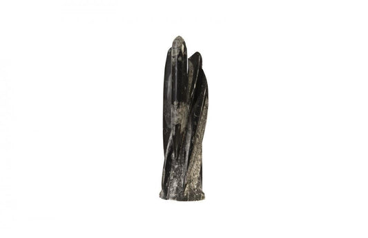 Phillips Collection Fossilized Squid Sculpture Black