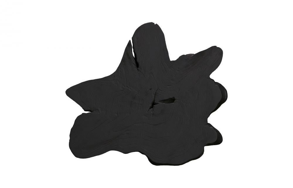 Phillips Collection Freeform Wall Tile, Large, Black, 20"W (ID114687 YV0J07T80R)