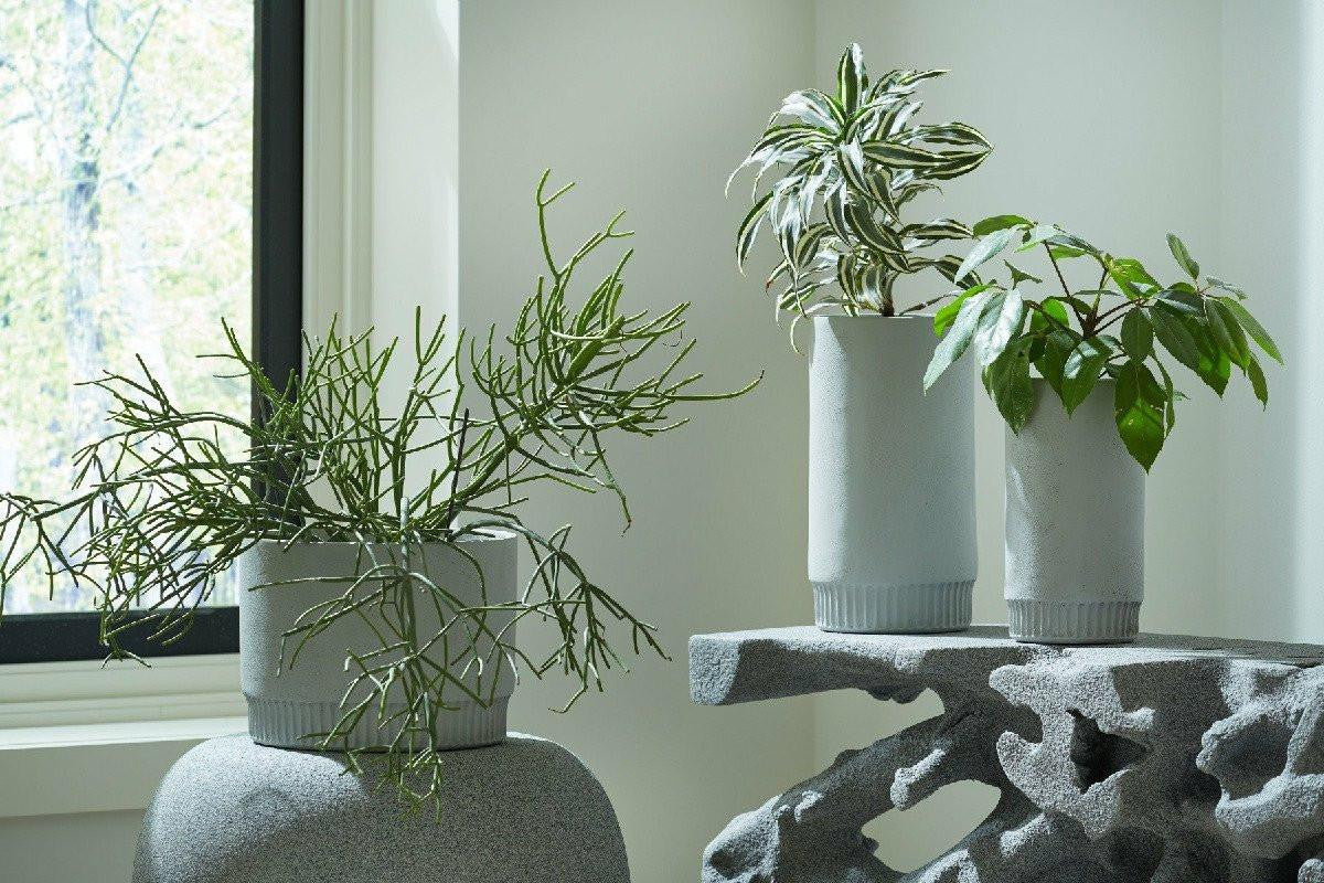 Phillips Collection-PH1002-HarvestVase