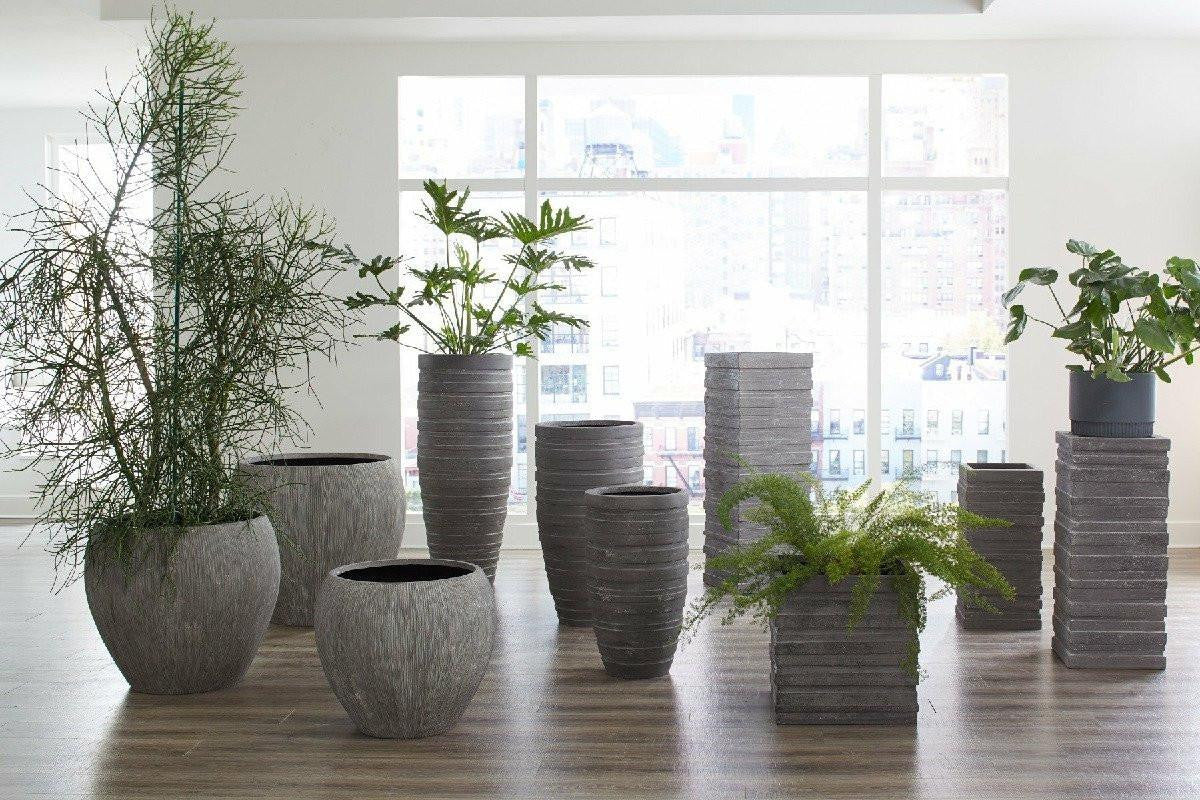 Phillips Collection June Planter, Square, Large, Gray, 15"W (PH103542 YV0J07T91U)