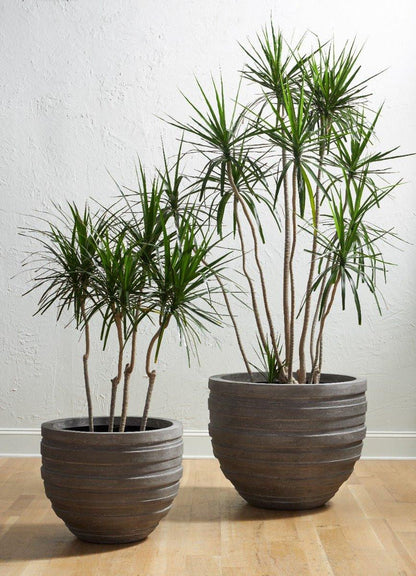 Phillips Collection June Slim Planter Gray