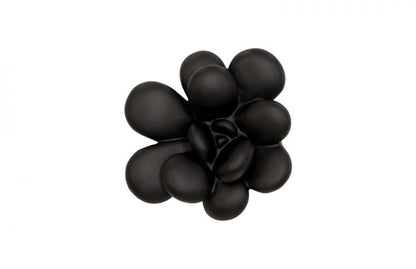 Phillips Collection Oviferum Succulent Wall Tile, Black, 10"W (PH111558 YV0J07TC0J)