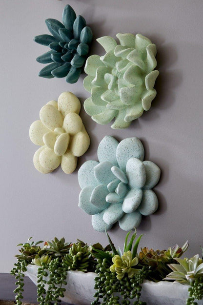 Phillips Collection Oviferum Succulent Wall Tile, White, 10"W (PH104154 YV0J07TC0H)