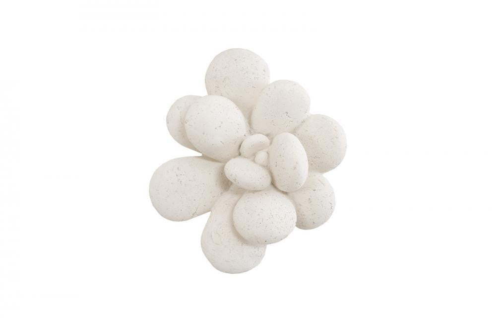 Phillips Collection Oviferum Succulent Wall Tile, White, 10"W (PH104154 YV0J07TC0H)