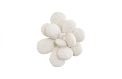 Phillips Collection Oviferum Succulent Wall Tile, White, 10"W (PH104154 YV0J07TC0H)