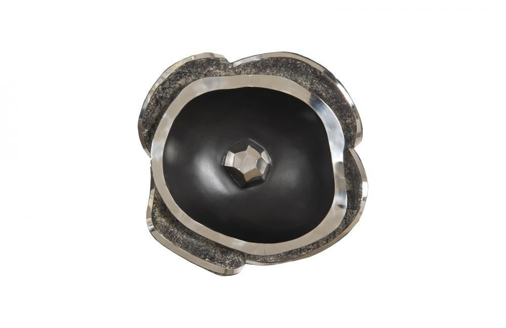 Phillips Collection Pen Shell Wall Art Dark Brown, Stainless Steel