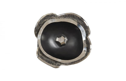 Phillips Collection Pen Shell Wall Art Dark Brown, Stainless Steel
