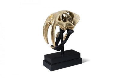 Phillips Collection Saber Tooth Tiger Skull Sculpture, Black, Gold Leaf, Black Base, 20"H (PH67580 YV0J07W4UA)