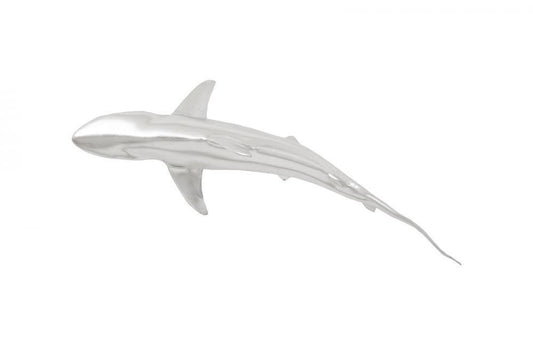 Phillips Collection-PH64545