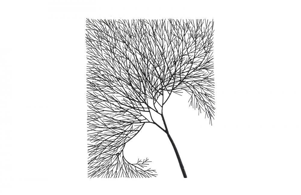 Phillips Collection Wire Tree Wall Art Black