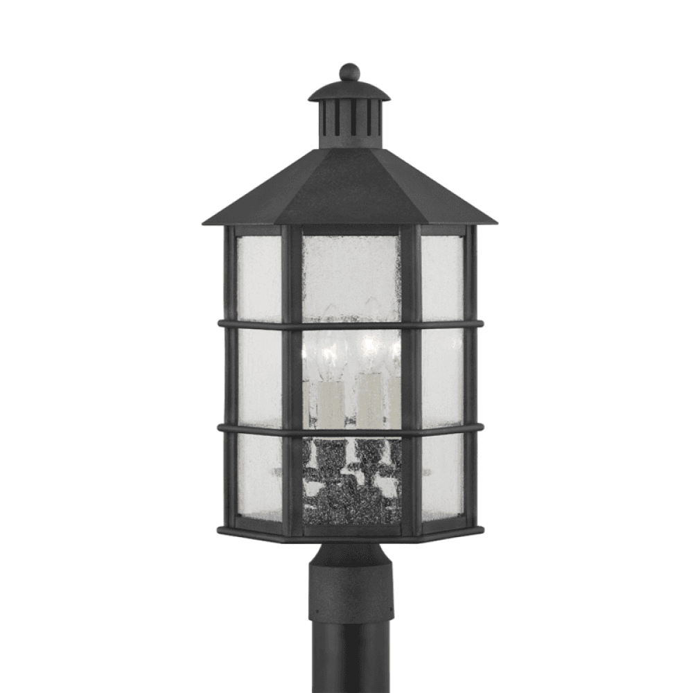 Troy Lake County Exterior Post Light French Iron