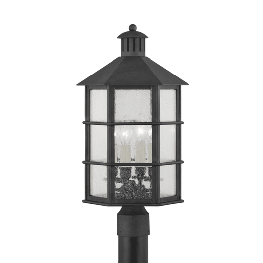 Troy Lake County Exterior Post Light French Iron