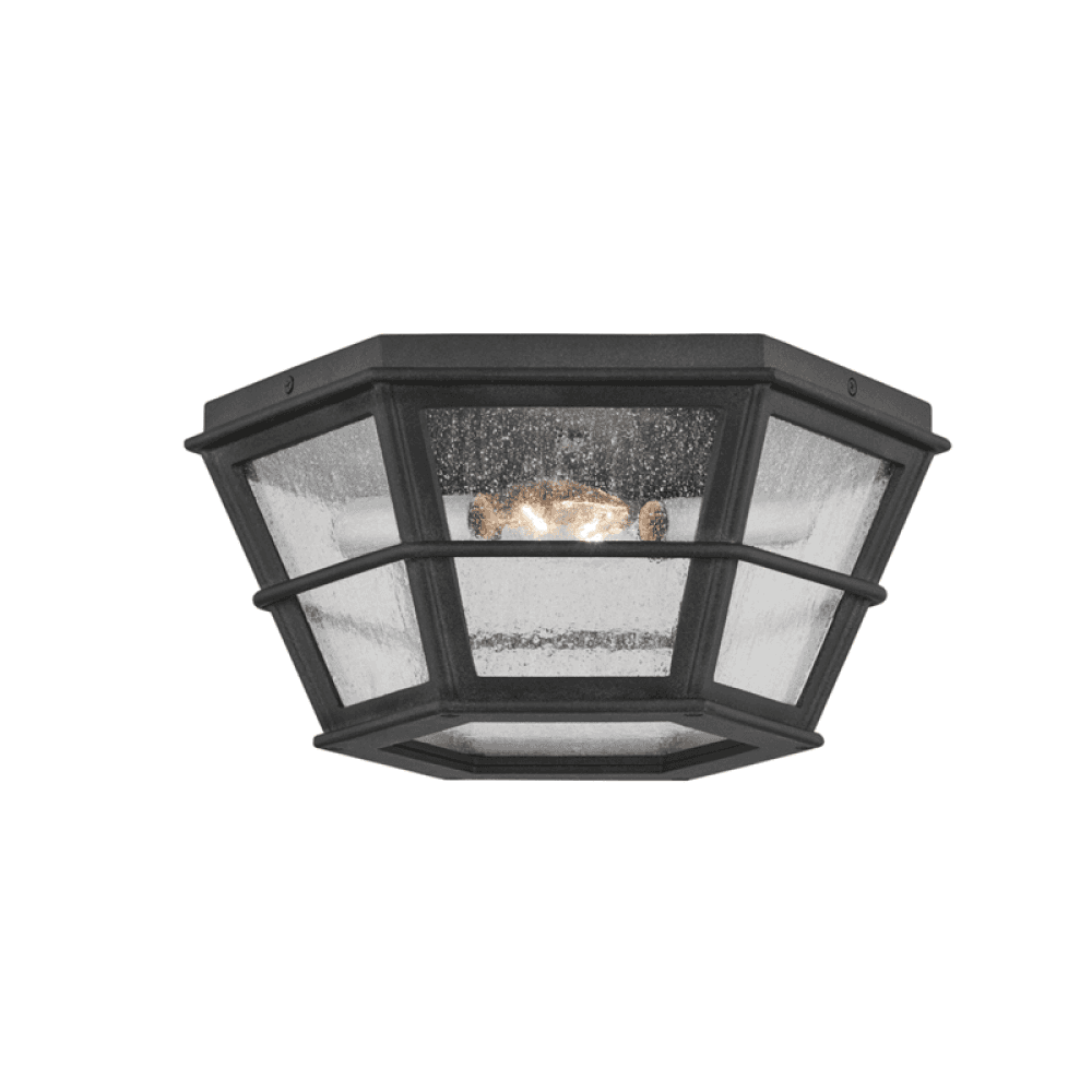 Troy Lake County Flush Mount French Iron