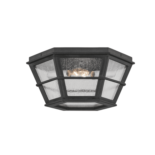 Troy Lake County Flush Mount French Iron