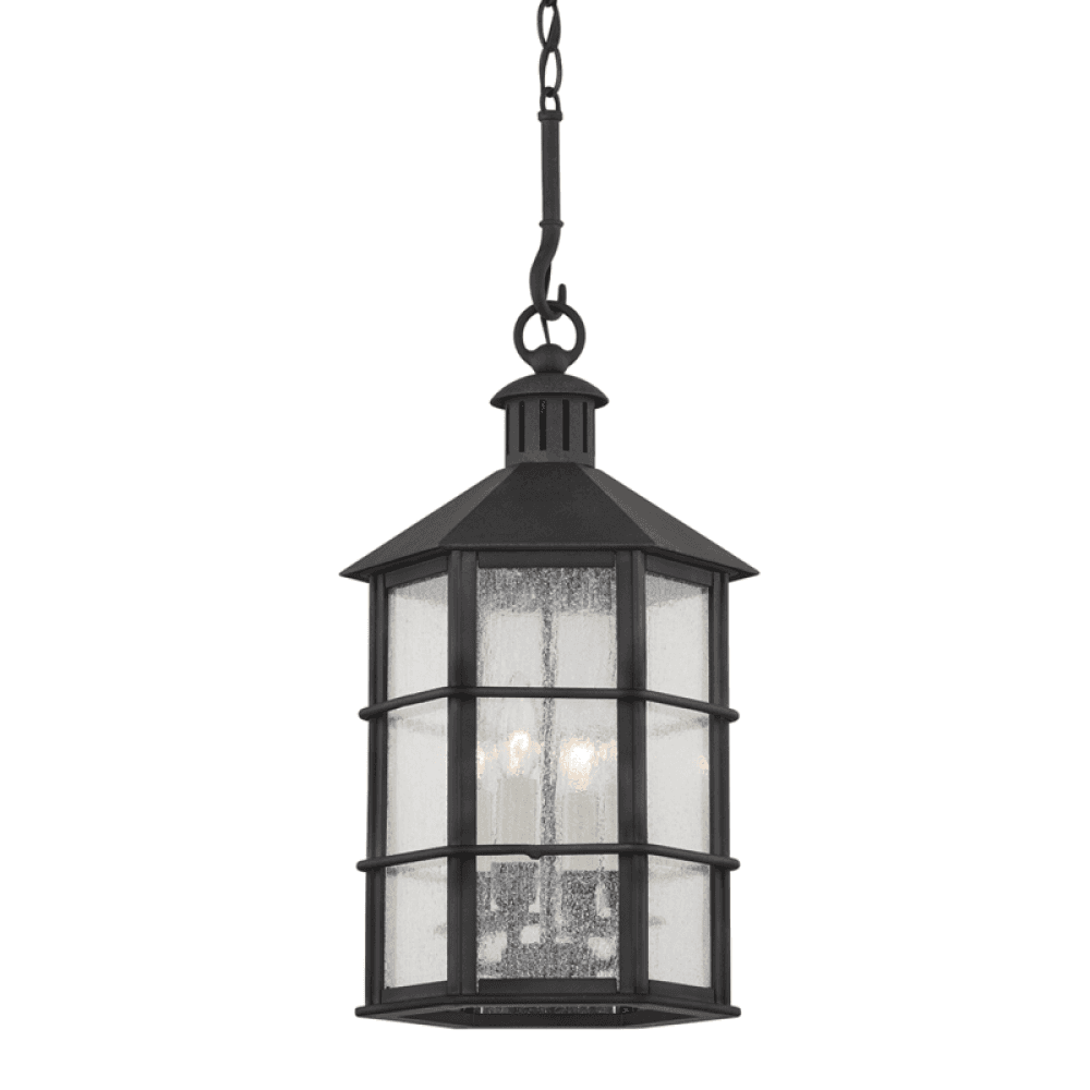 Troy Lake County Outdoor Lantern French Iron