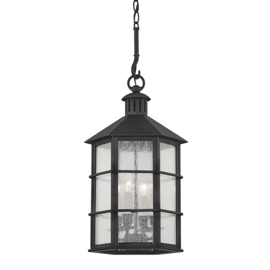 Troy Lake County Outdoor Lantern French Iron