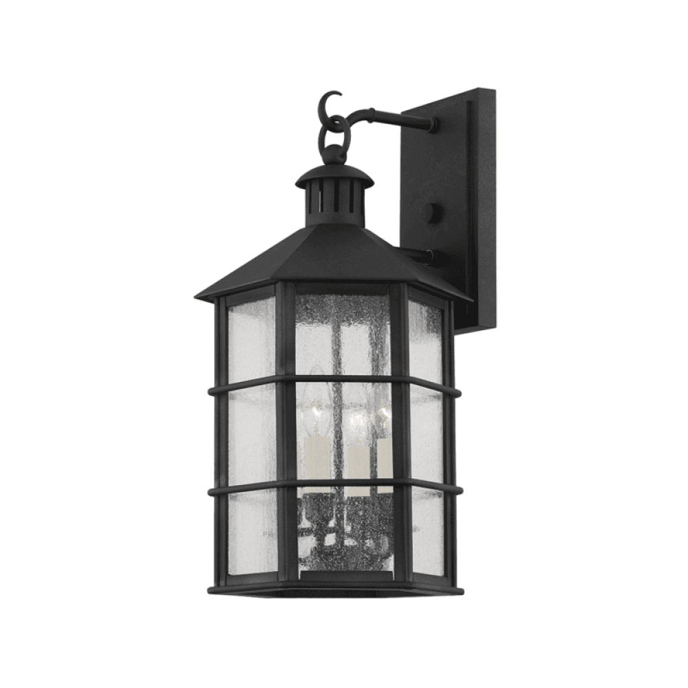 Troy Lake County Exterior Wall Sconce French Iron