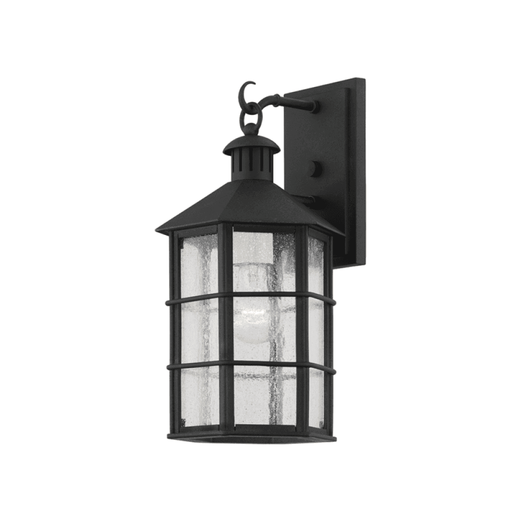 Troy Lake County Exterior Wall Sconce French Iron