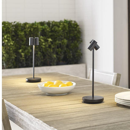 Visual Comfort & Co. Modern Collection Doppia Accent Rechargeable Table Lamp