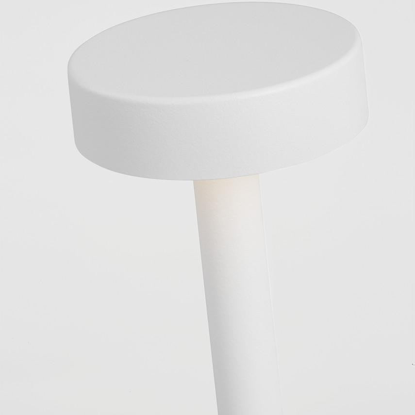 Visual Comfort & Co. Modern Collection Moneta Accent Rechargeable Table Lamp