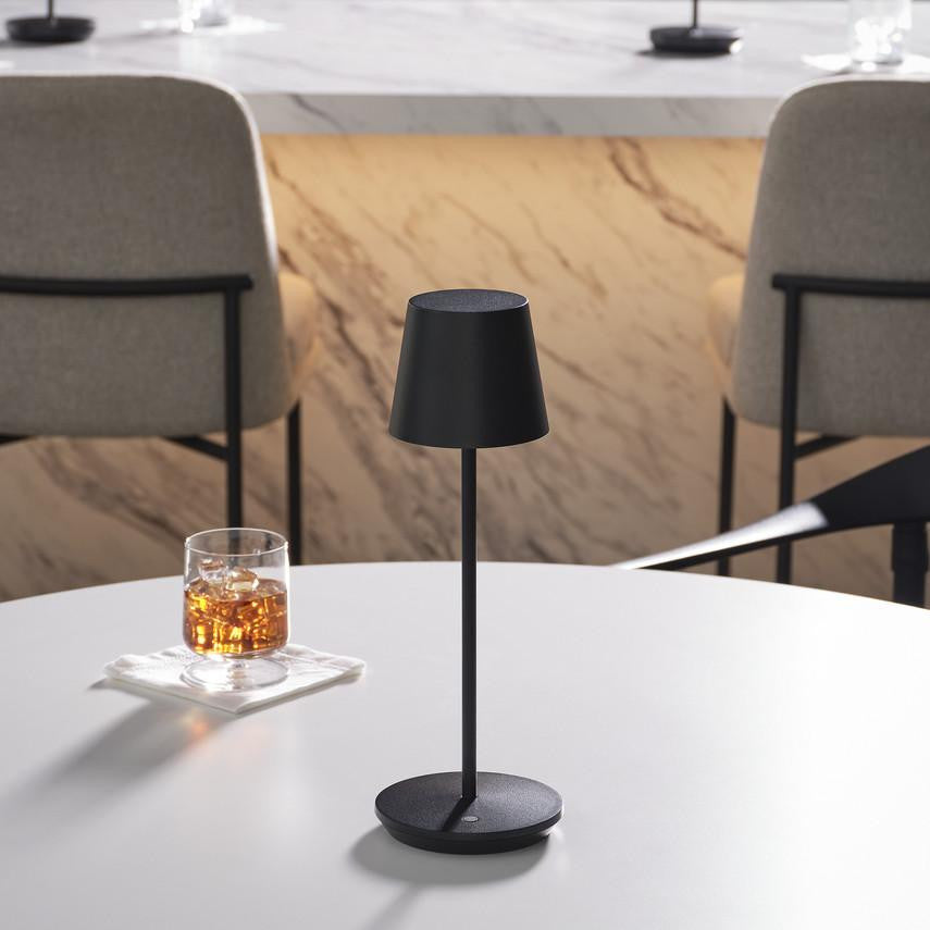 Visual Comfort & Co. Modern Collection Nevis Accent Rechargeable Table Lamp