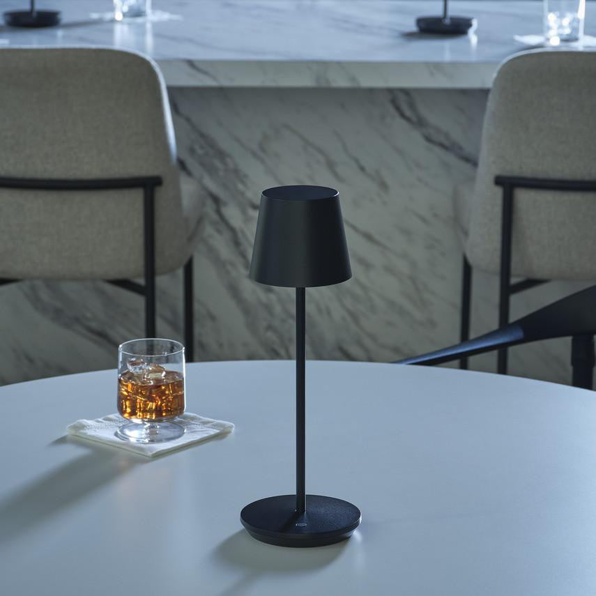 Visual Comfort & Co. Modern Collection Nevis Accent Rechargeable Table Lamp