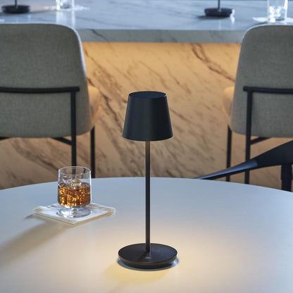 Visual Comfort & Co. Modern Collection Nevis Accent Rechargeable Table Lamp