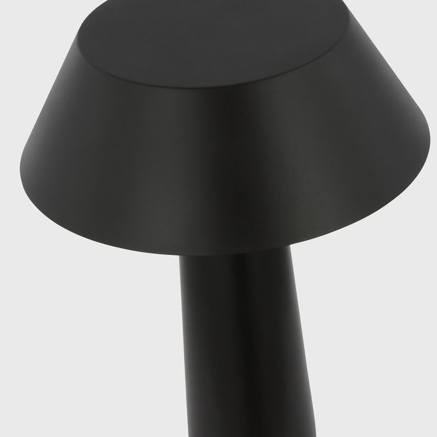 Visual Comfort & Co. Modern Collection Sesa Accent Rechargeable Table Lamp