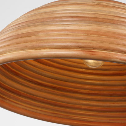 Visual Comfort & Co. Signature Collection Emerson 23" Pendant