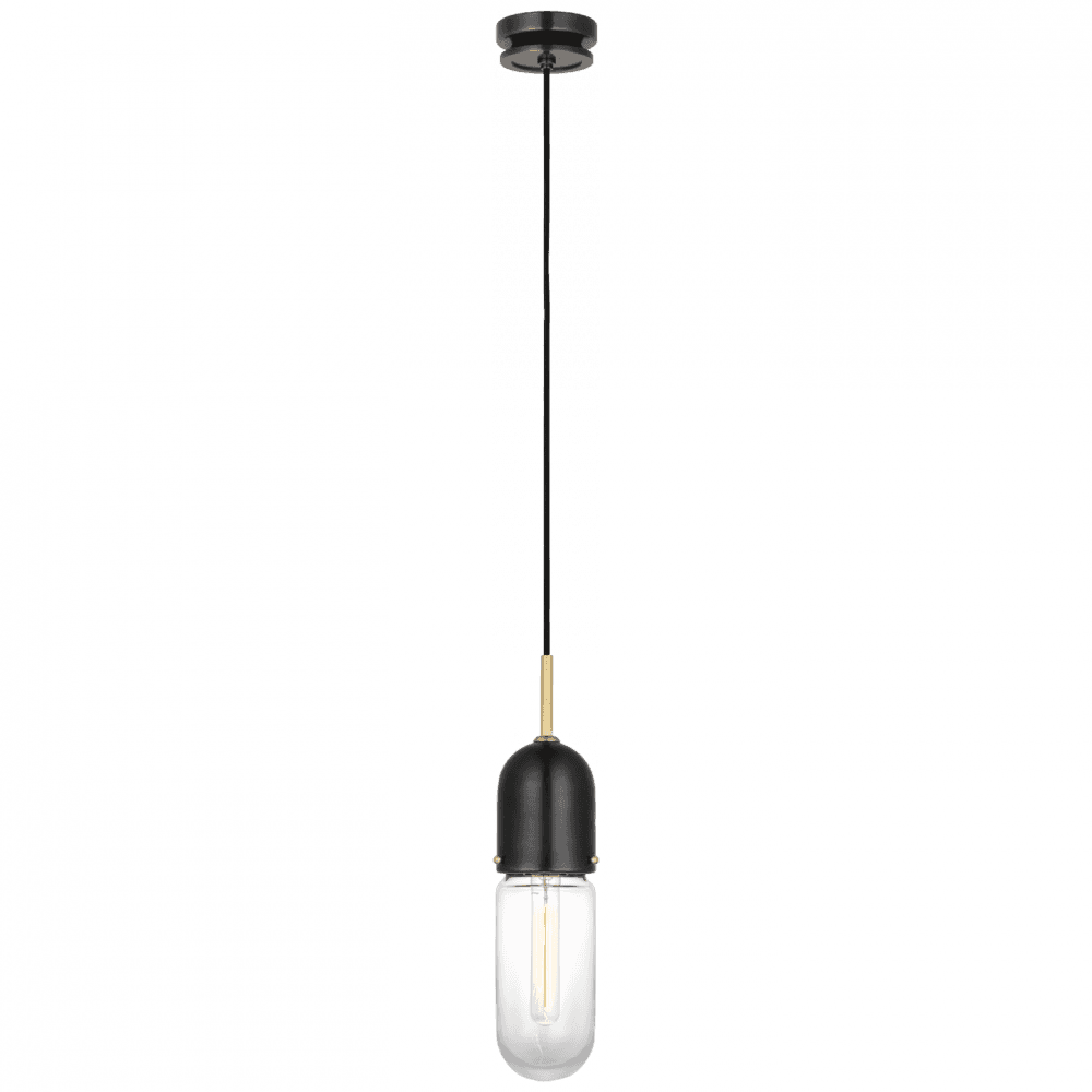 Visual Comfort Signature Junio Pendant Bronze and Brass