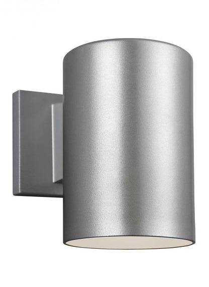 Visual Comfort Studio Outdoor Cylinders Small Outdoor Turtle Friendly  Painted Brushed Nickel