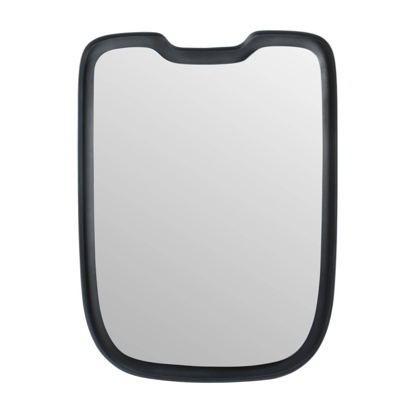 Arteriors Home Mercer Mirror Burnt Iron